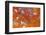 Agate in Colorful Design, Sammamish, WA-Darrell Gulin-Framed Photographic Print