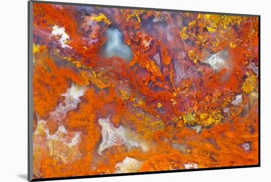 Agate in Colorful Design, Sammamish, WA-Darrell Gulin-Mounted Photographic Print