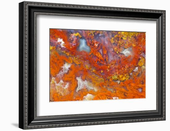 Agate in Colorful Design, Sammamish, WA-Darrell Gulin-Framed Photographic Print