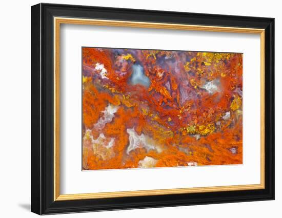 Agate in Colorful Design, Sammamish, WA-Darrell Gulin-Framed Photographic Print