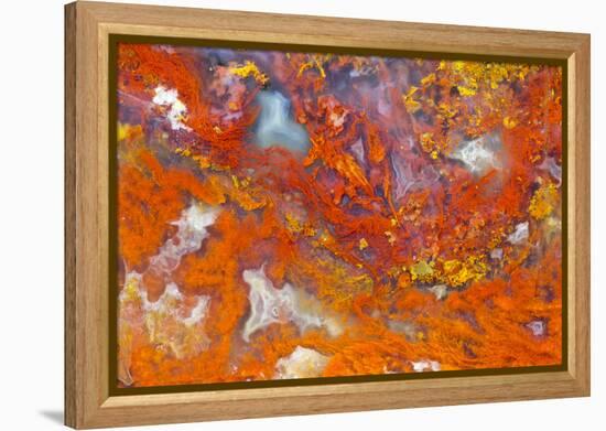 Agate in Colorful Design, Sammamish, WA-Darrell Gulin-Framed Premier Image Canvas