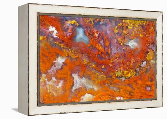 Agate in Colorful Design, Sammamish, WA-Darrell Gulin-Framed Premier Image Canvas