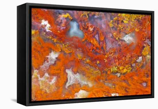 Agate in Colorful Design, Sammamish, WA-Darrell Gulin-Framed Premier Image Canvas