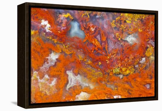 Agate in Colorful Design, Sammamish, WA-Darrell Gulin-Framed Premier Image Canvas