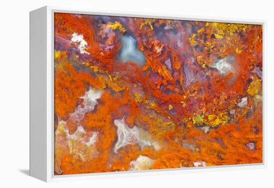 Agate in Colorful Design, Sammamish, WA-Darrell Gulin-Framed Premier Image Canvas