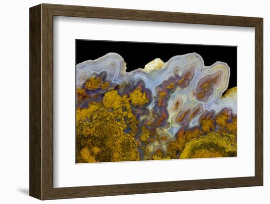 Agate in Colorful Design, Sammamish, WA-Darrell Gulin-Framed Photographic Print