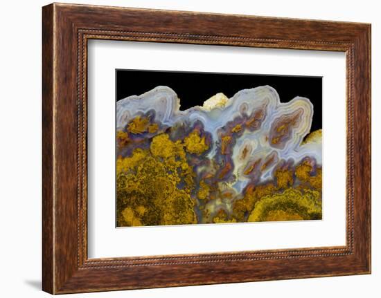 Agate in Colorful Design, Sammamish, WA-Darrell Gulin-Framed Photographic Print