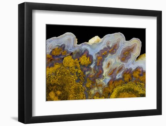 Agate in Colorful Design, Sammamish, WA-Darrell Gulin-Framed Photographic Print