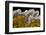 Agate in Colorful Design, Sammamish, WA-Darrell Gulin-Framed Photographic Print