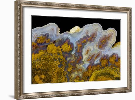 Agate in Colorful Design, Sammamish, WA-Darrell Gulin-Framed Photographic Print