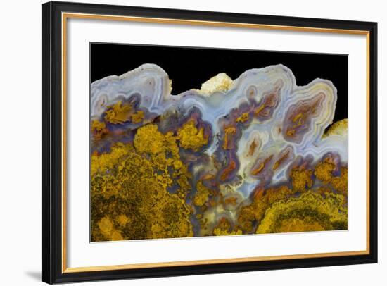 Agate in Colorful Design, Sammamish, WA-Darrell Gulin-Framed Photographic Print