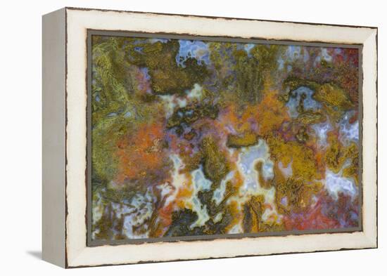 Agate in Colorful Design, Sammamish, Washington State-Darrell Gulin-Framed Premier Image Canvas