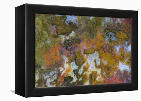 Agate in Colorful Design, Sammamish, Washington State-Darrell Gulin-Framed Premier Image Canvas