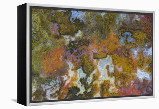 Agate in Colorful Design, Sammamish, Washington State-Darrell Gulin-Framed Premier Image Canvas