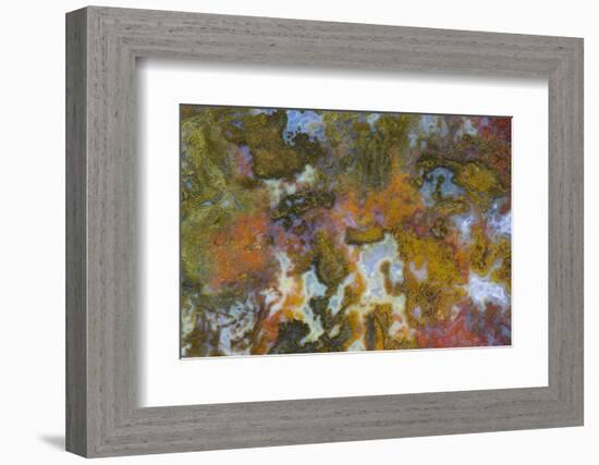 Agate in Colorful Design, Sammamish, Washington State-Darrell Gulin-Framed Photographic Print