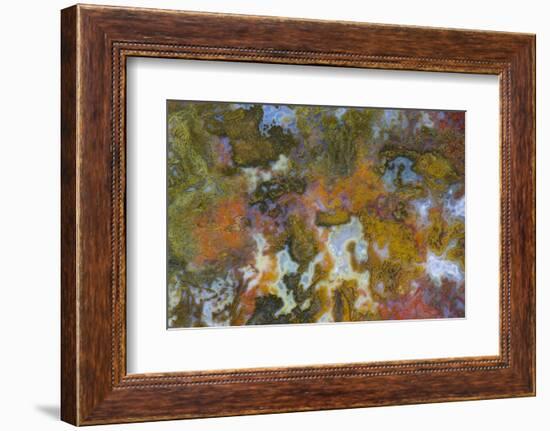 Agate in Colorful Design, Sammamish, Washington State-Darrell Gulin-Framed Photographic Print