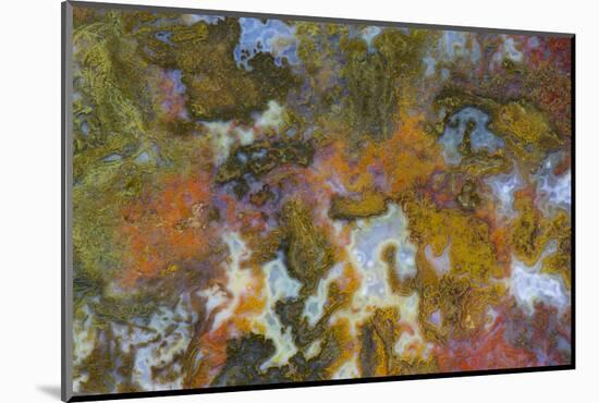 Agate in Colorful Design, Sammamish, Washington State-Darrell Gulin-Mounted Photographic Print