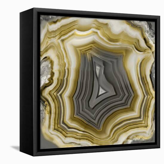 Agate in Gold & Grey-Danielle Carson-Framed Stretched Canvas