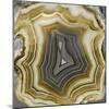 Agate in Gold & Grey-Danielle Carson-Mounted Art Print