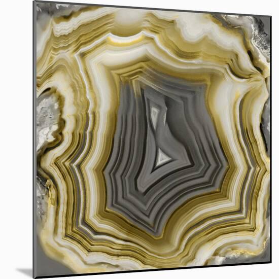 Agate in Gold & Grey-Danielle Carson-Mounted Art Print