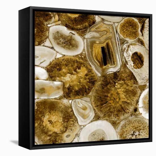 Agate in Gold I-Danielle Carson-Framed Stretched Canvas