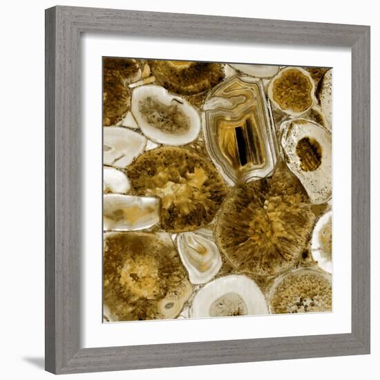 Agate in Gold I-Danielle Carson-Framed Art Print