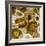 Agate in Gold I-Danielle Carson-Framed Art Print