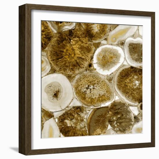 Agate in Gold II-Danielle Carson-Framed Art Print