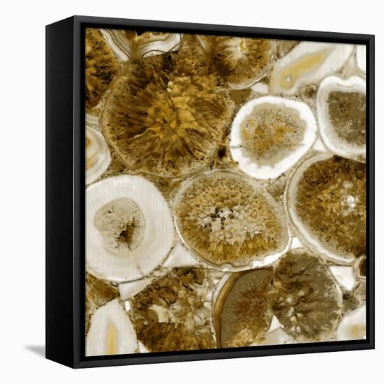 Agate in Gold II-Danielle Carson-Framed Stretched Canvas