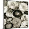 Agate in Pewter I-Danielle Carson-Mounted Art Print
