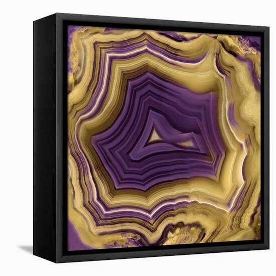 Agate in Purple & Gold II-Danielle Carson-Framed Stretched Canvas