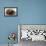 Agate Pearl with Ibbi-Sin King of Ur's Seal-null-Framed Premier Image Canvas displayed on a wall