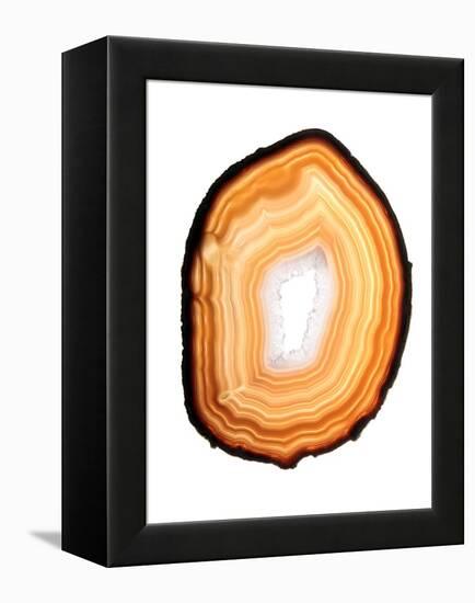 Agate Slice-Gavin Kingcome-Framed Premier Image Canvas