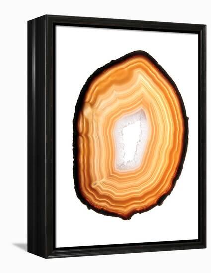 Agate Slice-Gavin Kingcome-Framed Premier Image Canvas