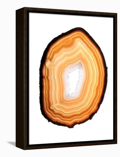 Agate Slice-Gavin Kingcome-Framed Premier Image Canvas