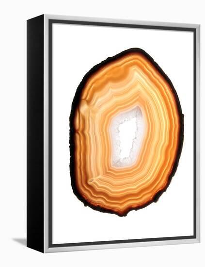 Agate Slice-Gavin Kingcome-Framed Premier Image Canvas