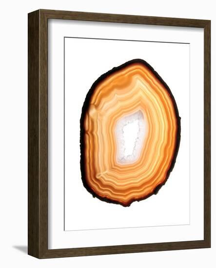 Agate Slice-Gavin Kingcome-Framed Photographic Print