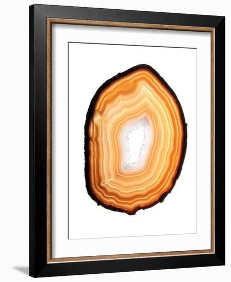 Agate Slice-Gavin Kingcome-Framed Photographic Print