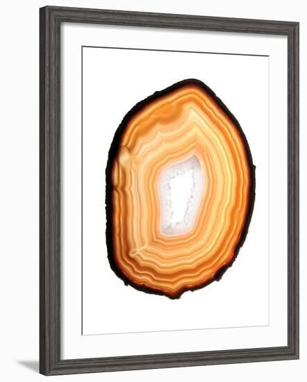 Agate Slice-Gavin Kingcome-Framed Photographic Print