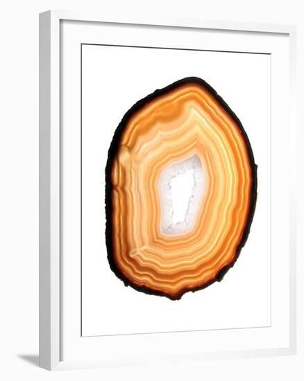 Agate Slice-Gavin Kingcome-Framed Photographic Print