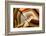 Agate Stone-cienpies-Framed Photographic Print