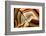 Agate Stone-cienpies-Framed Photographic Print