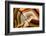 Agate Stone-cienpies-Framed Photographic Print