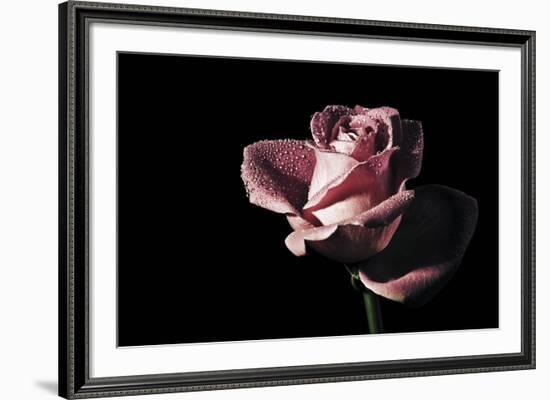 Agate-Andreas Stridsberg-Framed Giclee Print