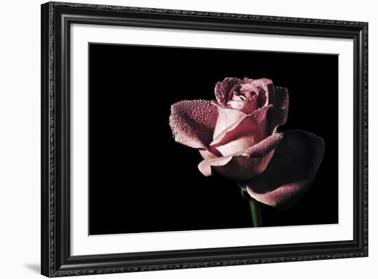 Agate-Andreas Stridsberg-Framed Giclee Print