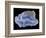 Agate-Walter Geiersperger-Framed Photographic Print