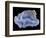 Agate-Walter Geiersperger-Framed Photographic Print