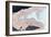 Agate-photographie und mehr-Framed Photographic Print