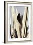 Agave_001-Pictufy Studio III-Framed Photographic Print