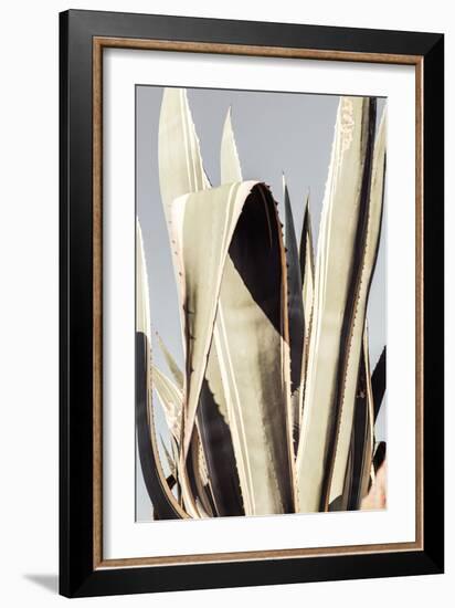 Agave_001-Pictufy Studio III-Framed Giclee Print